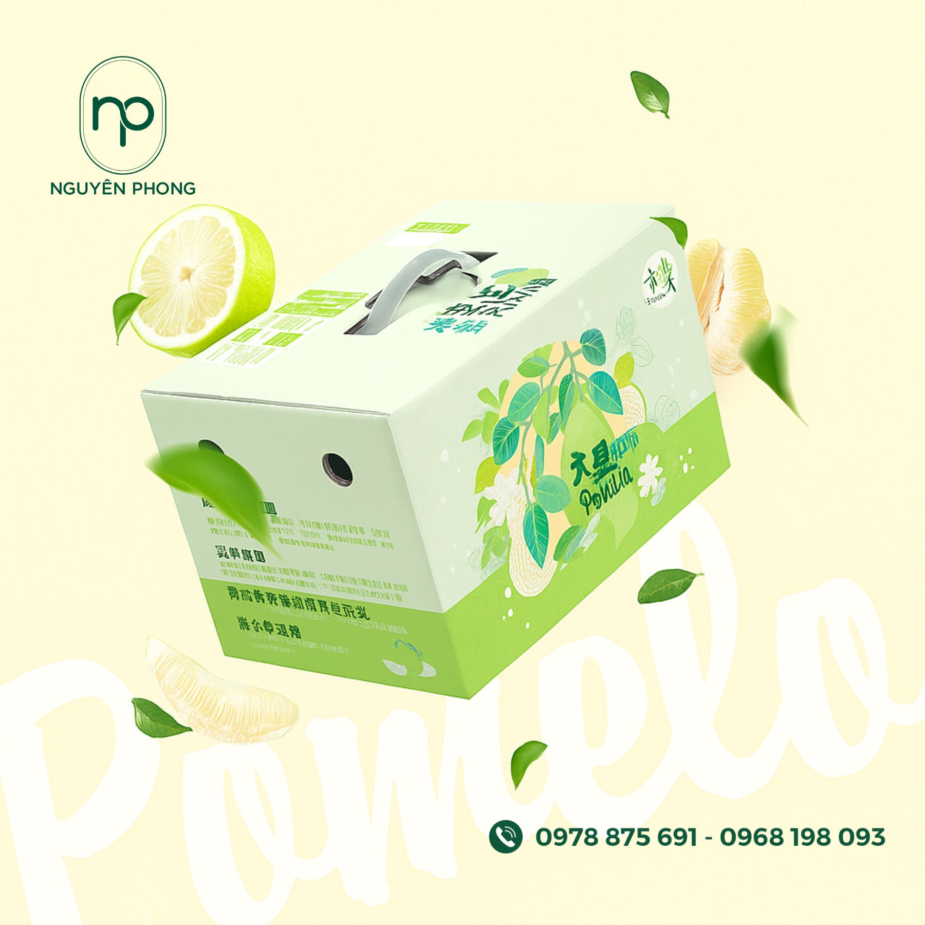 Mẫu thùng dựng nước ngọt 